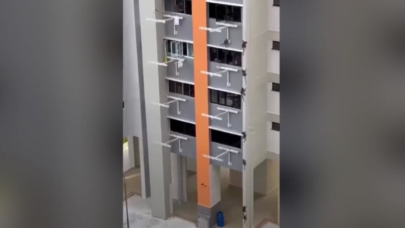 Monyet berkeliaran biasa dilihat di estet HDB Clementi; NParks jalankan langkah pengawalan Monyet berkeliaran biasa dilihat di estet HDB Clementi; NParks jalankan langkah pengawalan
