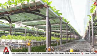 Supporting local farms: Locally grown vegetables to enter wholesale market under new agreement