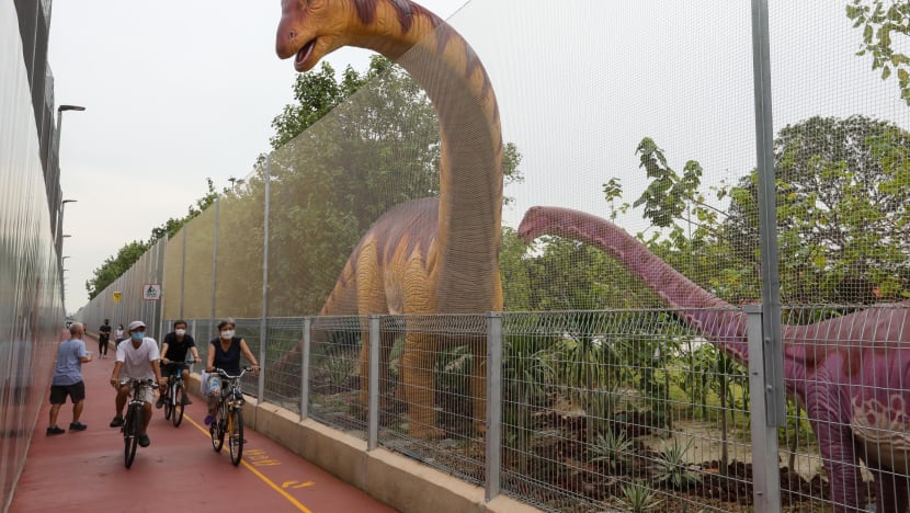 Safety netting put up along Changi Jurassic Mile after visitor injured by golf ball