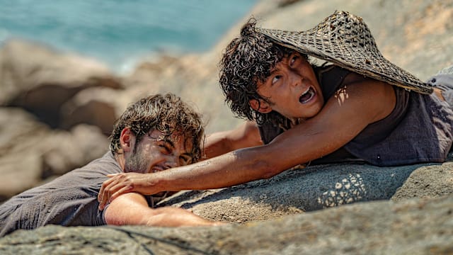 《东极岛》　我们的共同语言，是人性