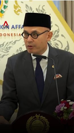 Singapore, Indonesia setting up joint task force to probe firms linked to forest fires