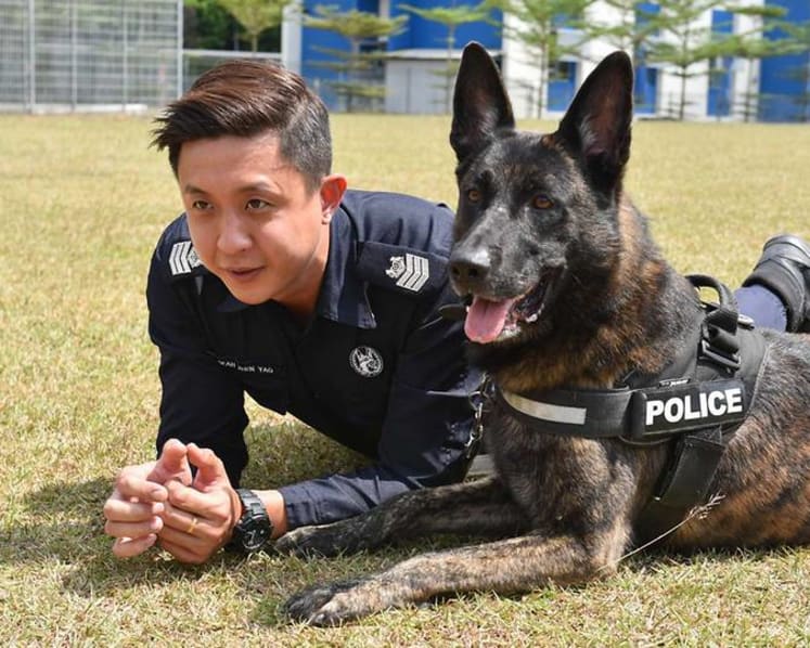 Man's best friend - and colleague: The service dogs of the Police K-9 Unit