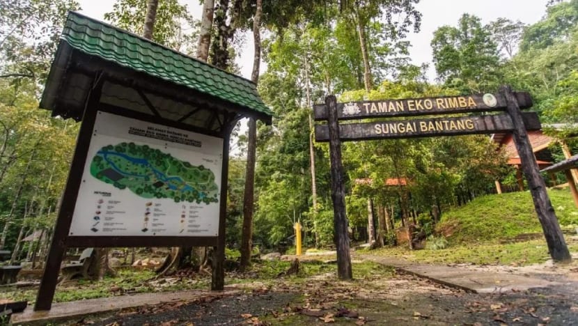 Johor tutup taman eko, trek daki hutan simpan susuli musim tengkujuh Johor tutup taman eko, trek daki hutan simpan susuli musim tengkujuh