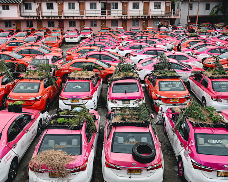 Taxi cab gardens emerge in Bangkok as drivers quit and debts grow