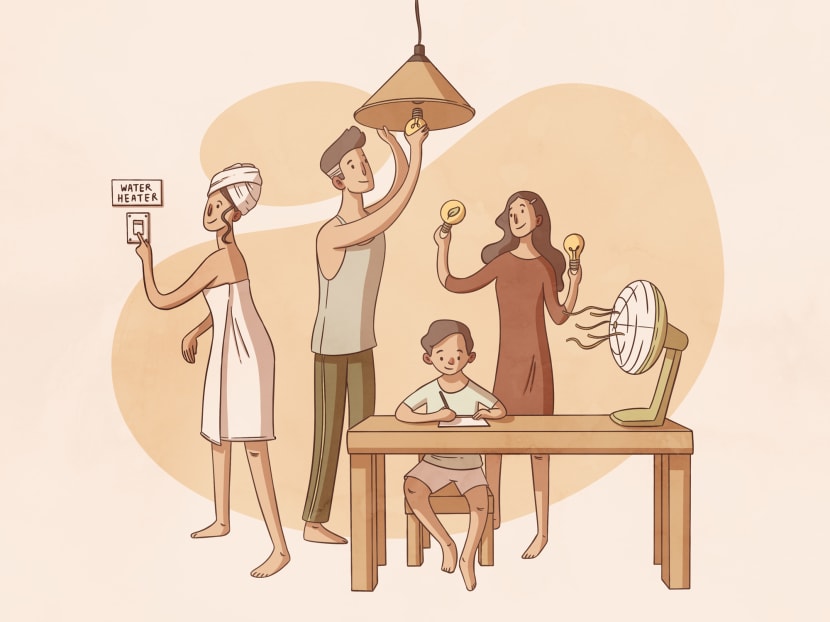 By reducing electricity consumption or turning to renewable energy, households now can not only do their part to save the Earth — but also go easy on their wallets.  