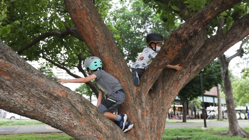How to help children develop social-emotional intelligence and resilience