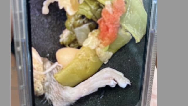 喝汤感觉嘴里刺痛 美国男子吐出一只老鼠脚