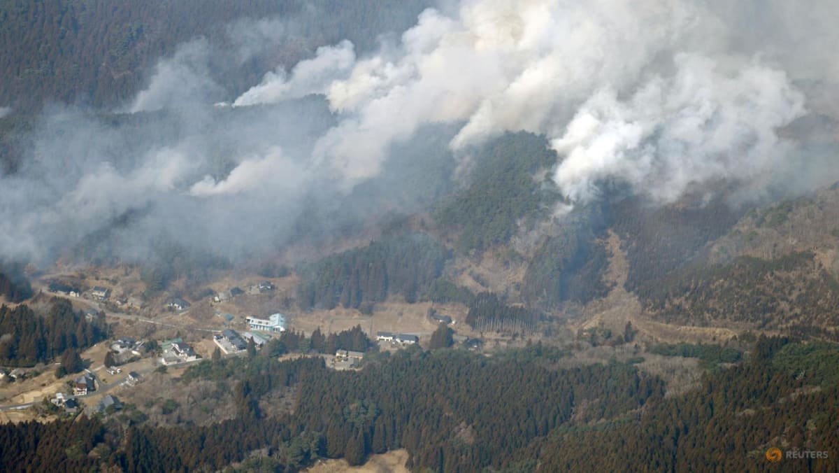 Japan deploys nearly 1,700 firefighters to tackle forest blaze