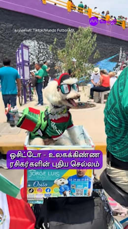 உலகக் கிண்ணத்தின் எதிர்பாராத நட்சத்திரம் Osito 🐶