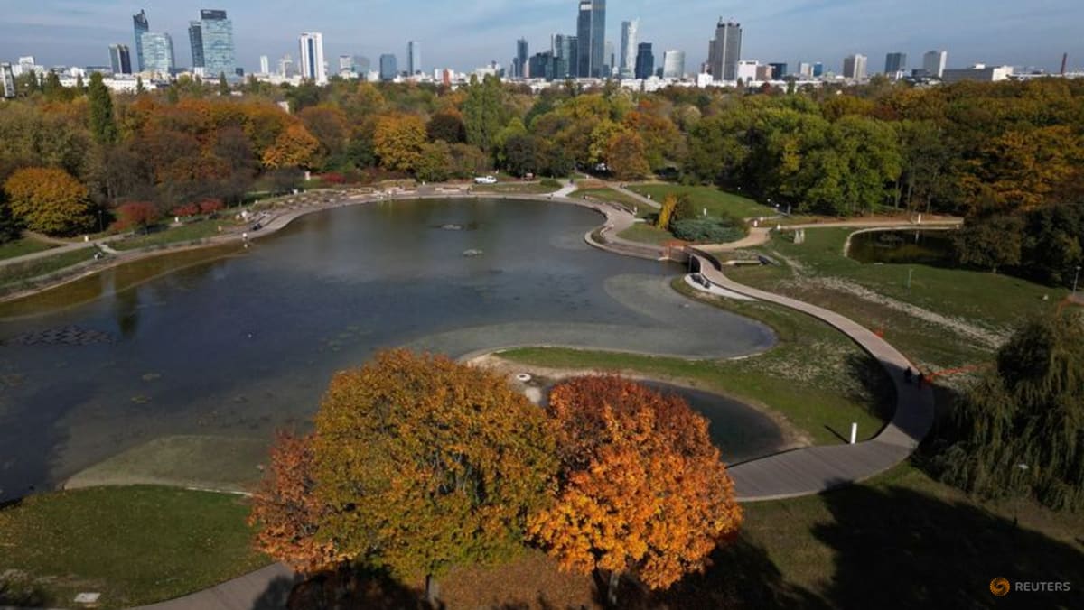 Developing countries in Europe, Central Asia face slowdown, World Bank says