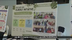 Related article image