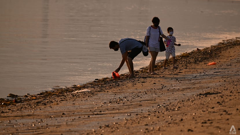 Singapore Launches New Coastal Protection Rulebook, Mandatory by 2028