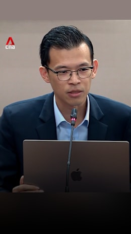 WP MP Kenneth Tiong asks whether PAP will 'reject' Critical Spectator’s Michael Petraeus