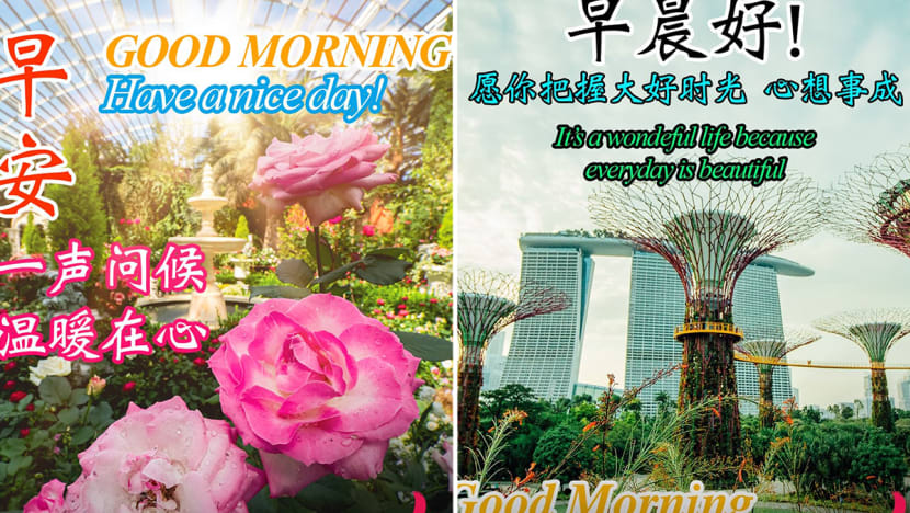#trending: Gardens by the Bay wins praise for ‘Good Morning’ memes targeted at boomers