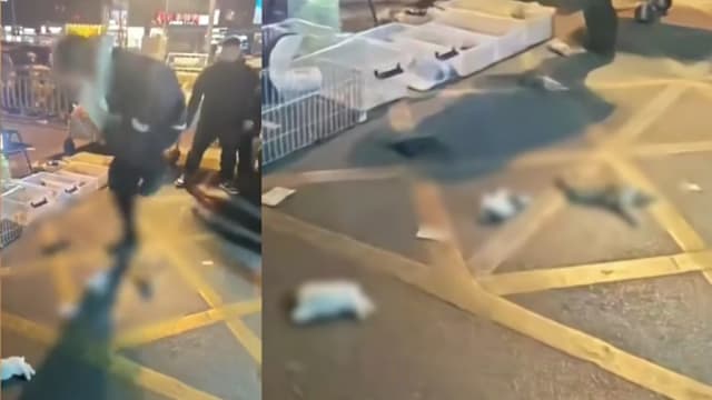 中国摊贩被控当街虐兔致死 警方两度警示不果带走调查