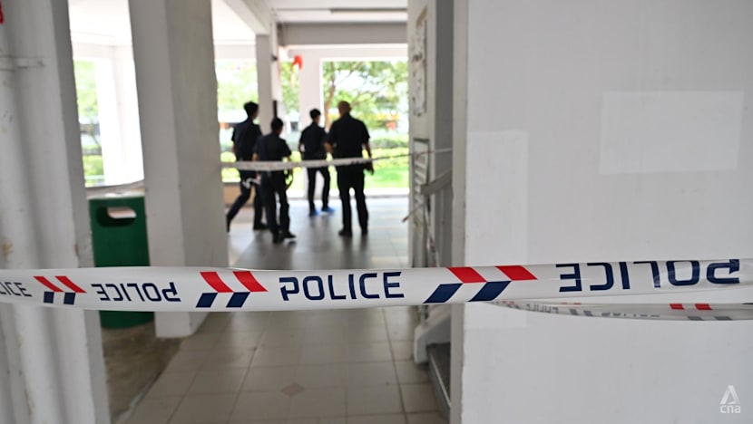 Man, 67, arrested for murder after woman stabbed in Yishun noise dispute