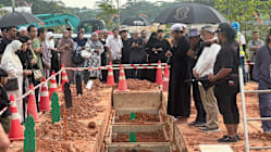 Related article image