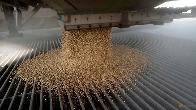 Soybean futures ease from 17-month peak as traders gauge China buying pace