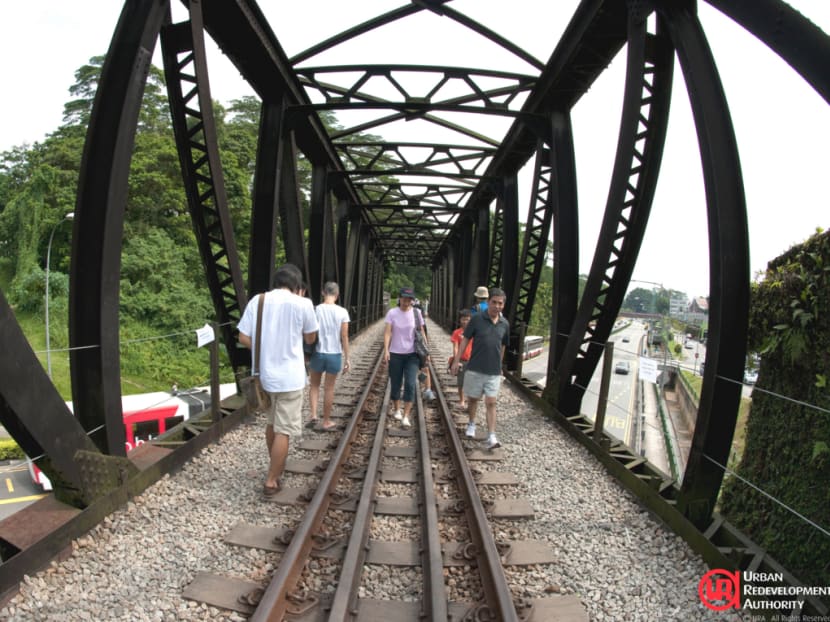 Iconic steel bridges along Rail Corridor up for conservation
