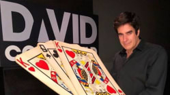 Related article image