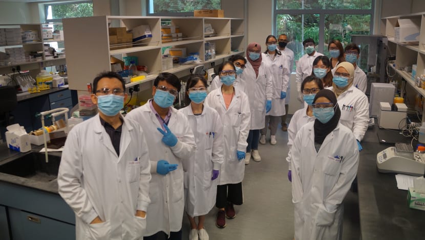 Singapore to begin first human trial for potential Covid-19 treatment