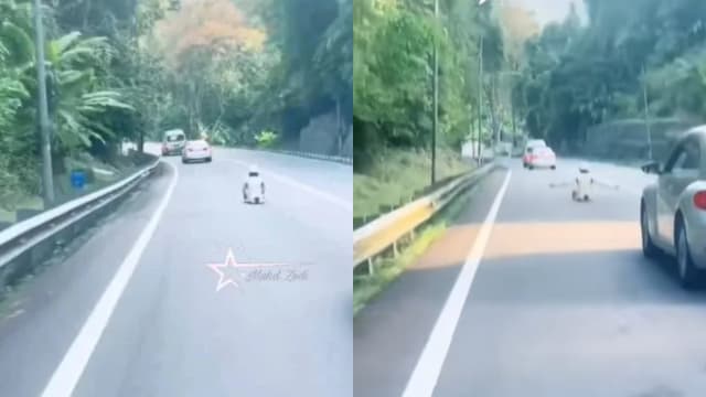 男子坐滑板在山路快速滑行 马国警方展开调查