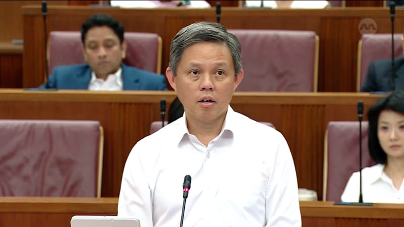 Chan Chun Sing on recognising contributions of SAF personnel involved in recent Mideast repatriation flights 