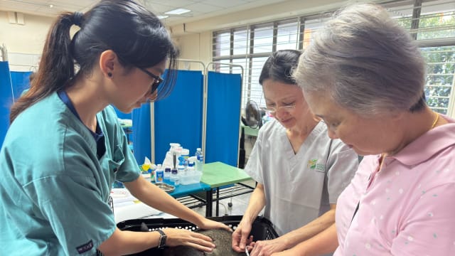 猫只管理框架推出以来 逾2.4万只宠物猫完成注册