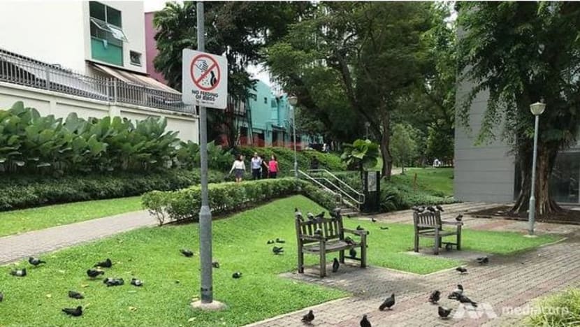 682 notis penguatkuasaan dikeluarkan bagi kesalahan beri makan kepada burung merpati