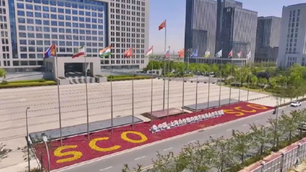 China’s high-profile SCO summit: Who’s attending and what’s on the agenda?