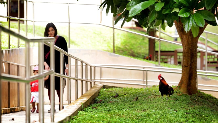 National Day Special 2016: Wanted — A national identity for Singapore