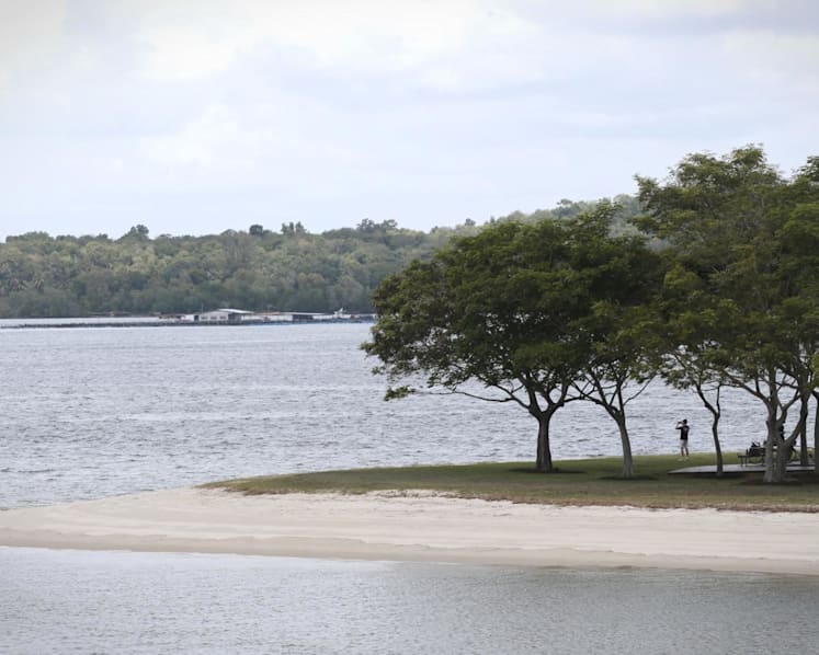 S$23.5m research programme launched to look at long-term impact of climate change on S'pore