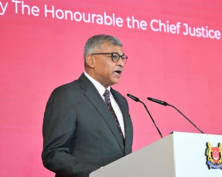 Courts to extend 'therapeutic justice' approach from family dispute cases to young offenders: Chief Justice