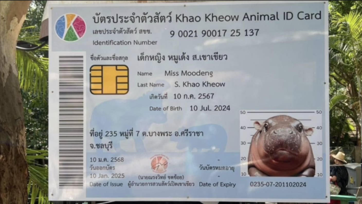 その他 L GEAR SOLID Trading Card #079 HIPPO その他 L GEAR SOLID Trading Card #069 HIPPO $_57.JPG?set_id=880000500F