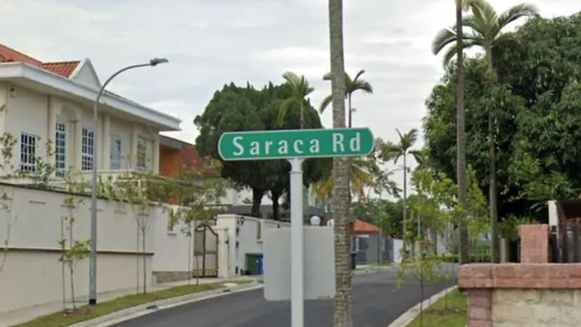 Lelaki ditangkap lakukan gangguan tailong, bakar rumah di Seletar