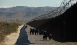 Walk The Line - Anyone Can Be American