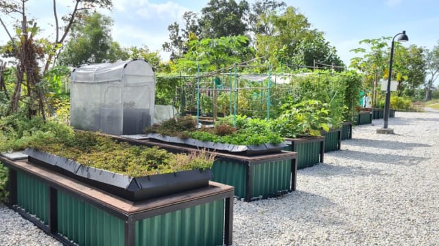 公园局开辟180多个新花床 明天起供公众申请租用