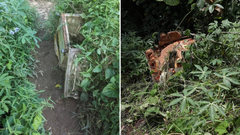 Year-long delay to remove discarded fridge from Clementi Forest a 'lapse', 'always room to improve': Municipal Services Office