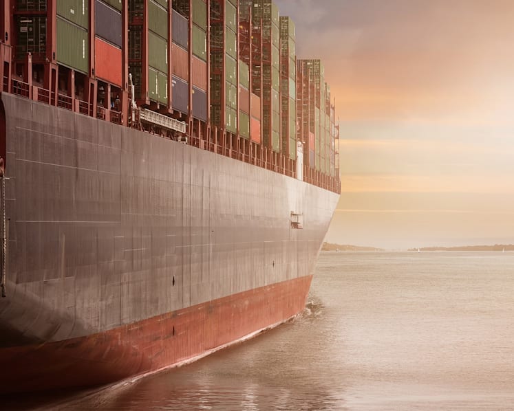 Supervisor, employer found guilty over death of diver sucked into ship porthole underwater