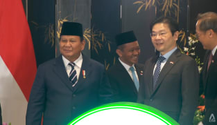 Green economy a promising new area for Singapore-Indonesia cooperation, says PM Wong