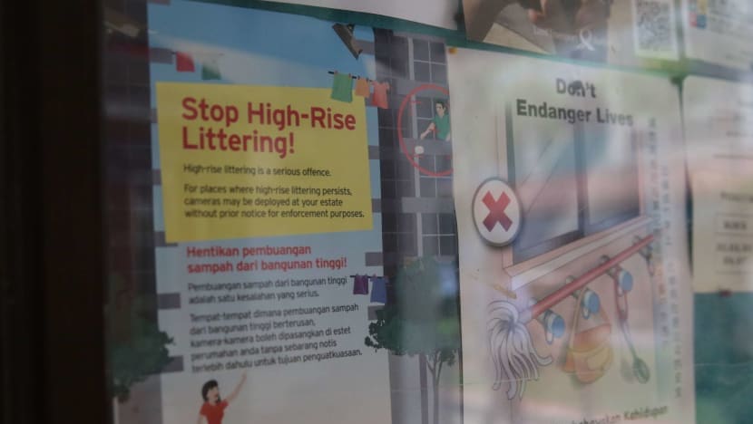 High-rise litter complaints double in last 4 years to 32,000; 54% of offences involve cigarette butts: MSE