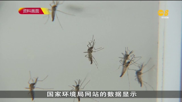 本地上周增346起骨痛热症病例 今年单周最高水平