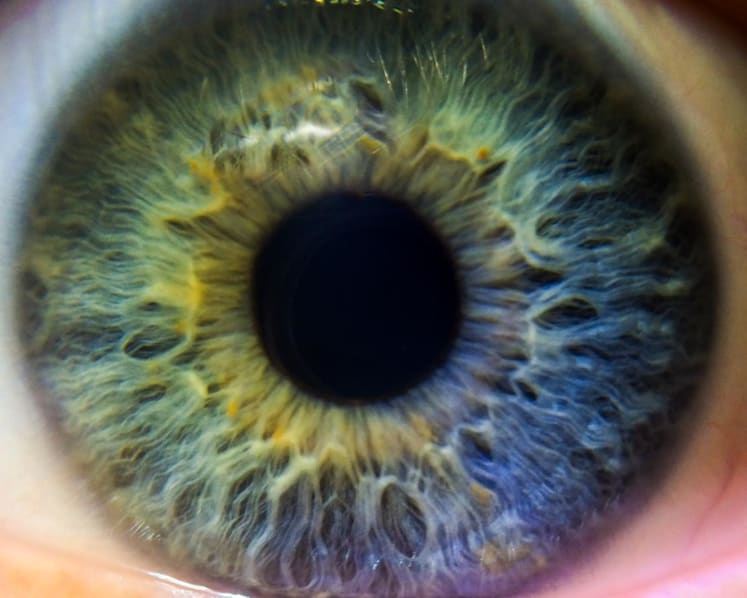 Turning eyes to artwork: Safety, privacy risks in view as young Chinese look towards iris photography