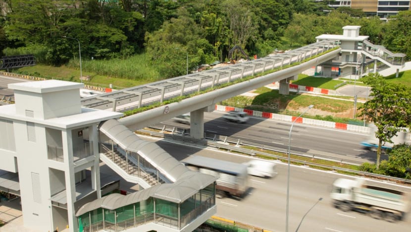 New 110m cycling bridge opens in Jurong West New 110m cycling bridge opens in Jurong West