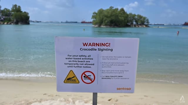 未再发现鳄鱼踪迹 圣淘沙三海滩水上活动恢复