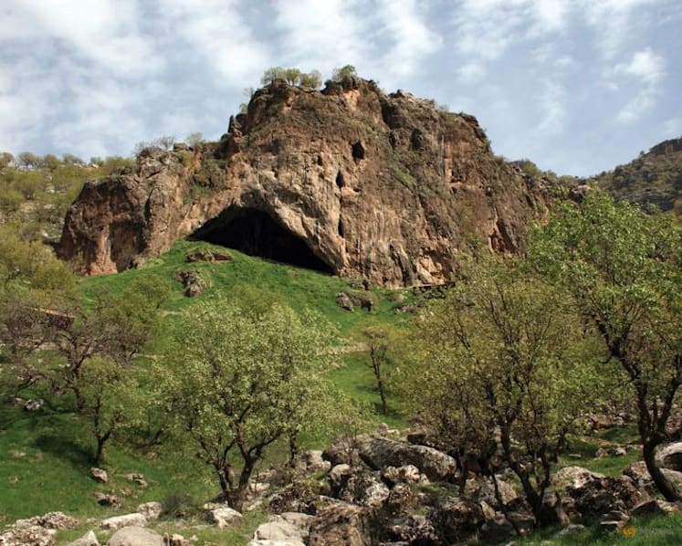Bones from Iraqi cave hint at violence and compassion in Neanderthals