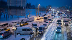 Related article image