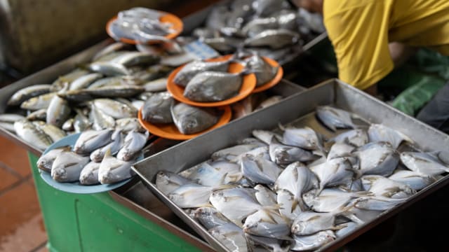 香港乙型链球菌感染案呈增加趋势 40人受感染两人死亡
