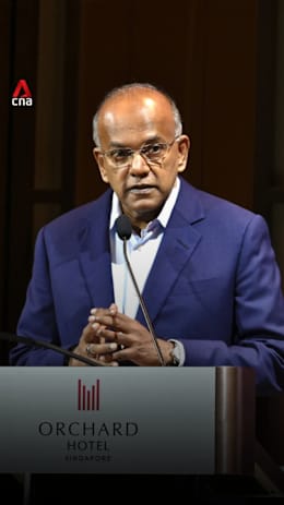 Israel's actions in Gaza will probably be judged harshly by history: Shanmugam 