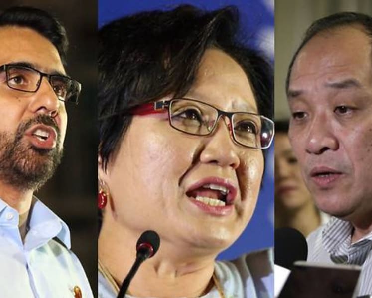 Workers' Party sets out stance on climate change, green issues